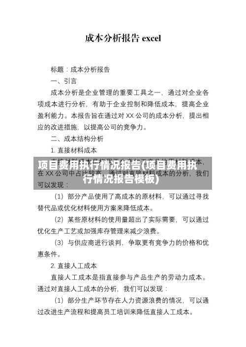 项目费用执行情况报告(项目费用执行情况报告模板)