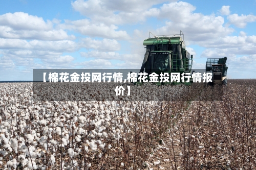 【棉花金投网行情,棉花金投网行情报价】-第3张图片