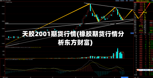 天胶2001期货行情(橡胶期货行情分析东方财富)