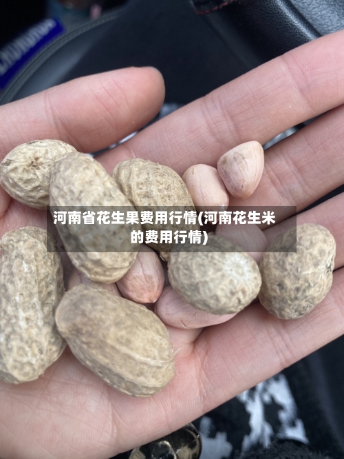 河南省花生果费用行情(河南花生米的费用行情)