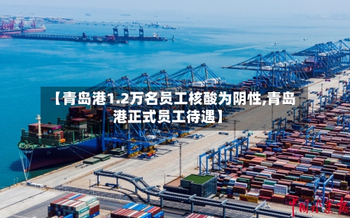 【青岛港1.2万名员工核酸为阴性,青岛港正式员工待遇】