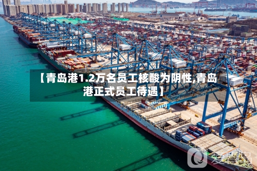 【青岛港1.2万名员工核酸为阴性,青岛港正式员工待遇】-第2张图片