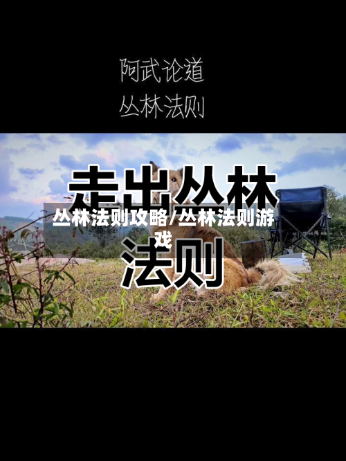 丛林法则攻略/丛林法则游戏