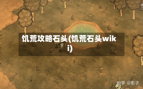 饥荒攻略石头(饥荒石头wiki)