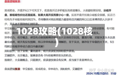 1028攻略(1028核)-第2张图片