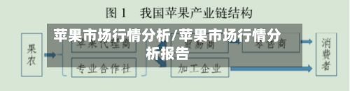 苹果市场行情分析/苹果市场行情分析报告-第2张图片