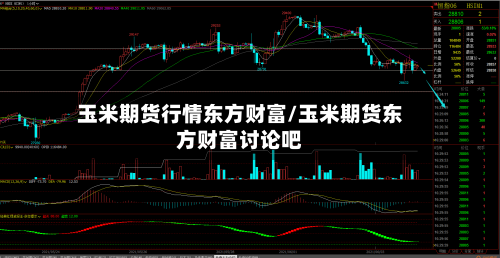 玉米期货行情东方财富/玉米期货东方财富讨论吧-第2张图片