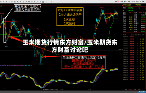 玉米期货行情东方财富/玉米期货东方财富讨论吧