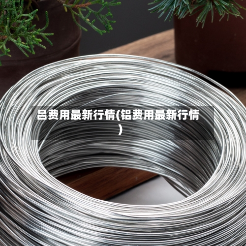 吕费用最新行情(铝费用最新行情)-第3张图片