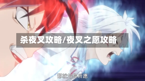 杀夜叉攻略/夜叉之愿攻略