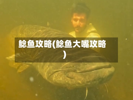 鲶鱼攻略(鲶鱼大嘴攻略)