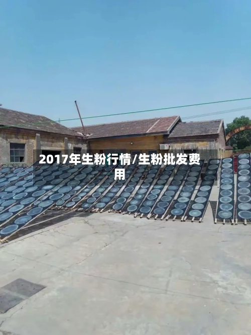 2017年生粉行情/生粉批发费用