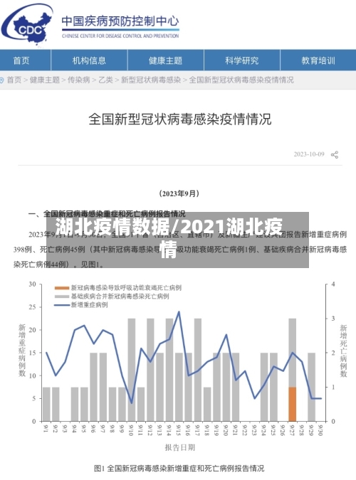 湖北疫情数据/2021湖北疫情-第2张图片