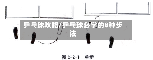 乒乓球攻略/乒乓球必学的8种步法