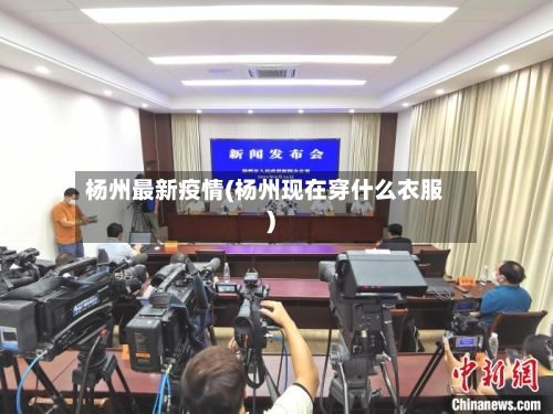 杨州最新疫情(杨州现在穿什么衣服)-第3张图片