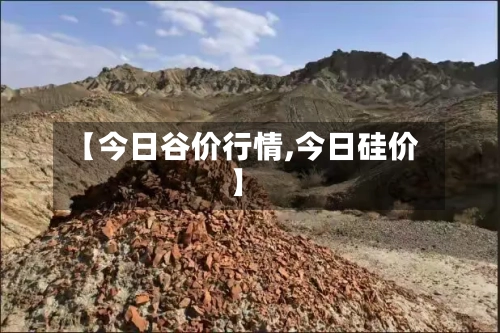 【今日谷价行情,今日硅价】