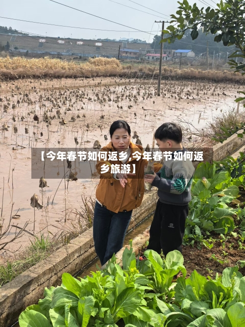 【今年春节如何返乡,今年春节如何返乡旅游】-第2张图片