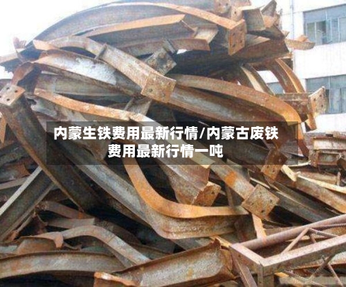 内蒙生铁费用最新行情/内蒙古废铁费用最新行情一吨