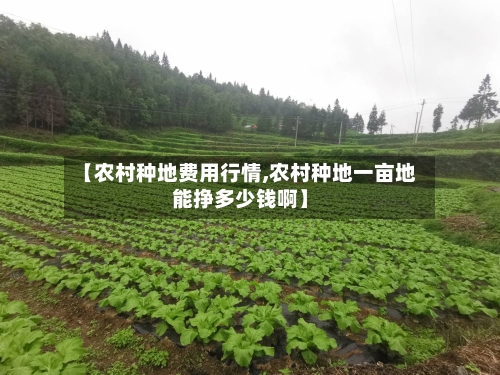 【农村种地费用行情,农村种地一亩地能挣多少钱啊】-第3张图片