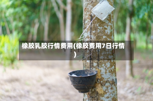 橡胶乳胶行情费用(橡胶费用7日行情)