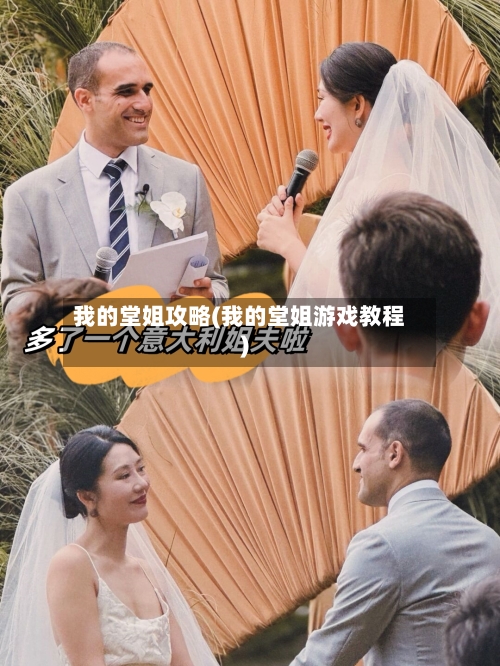 我的堂姐攻略(我的堂姐游戏教程)-第2张图片