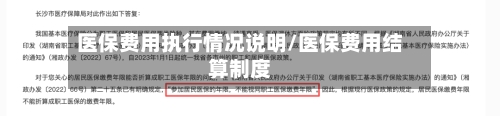 医保费用执行情况说明/医保费用结算制度