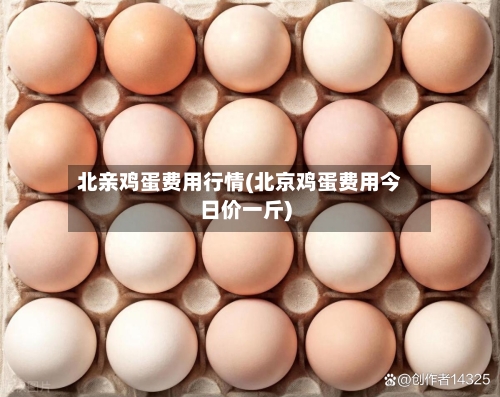 北亲鸡蛋费用行情(北京鸡蛋费用今日价一斤)-第1张图片