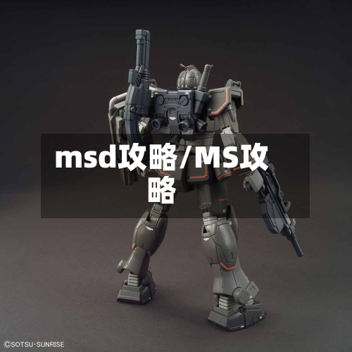msd攻略/MS攻略