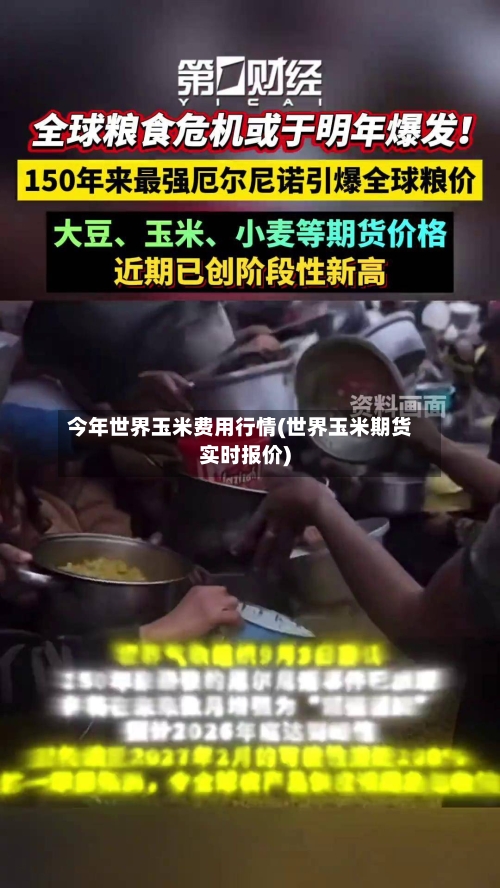 今年世界玉米费用行情(世界玉米期货实时报价)