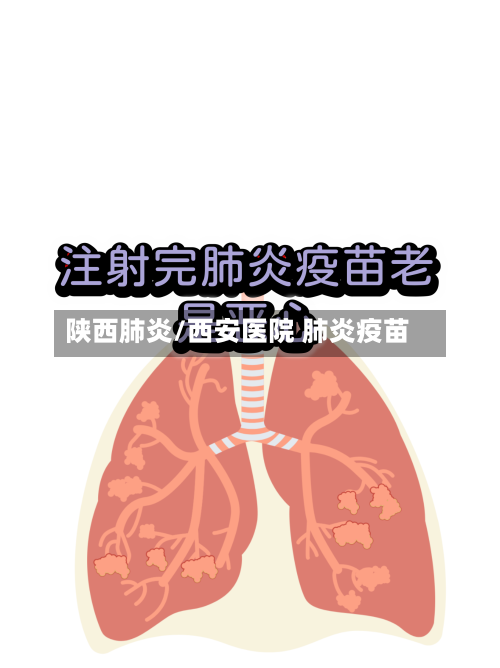 陕西肺炎/西安医院 肺炎疫苗-第3张图片