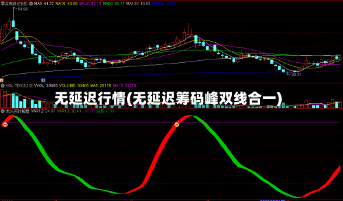 无延迟行情(无延迟筹码峰双线合一)-第2张图片