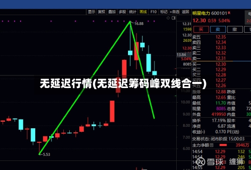 无延迟行情(无延迟筹码峰双线合一)