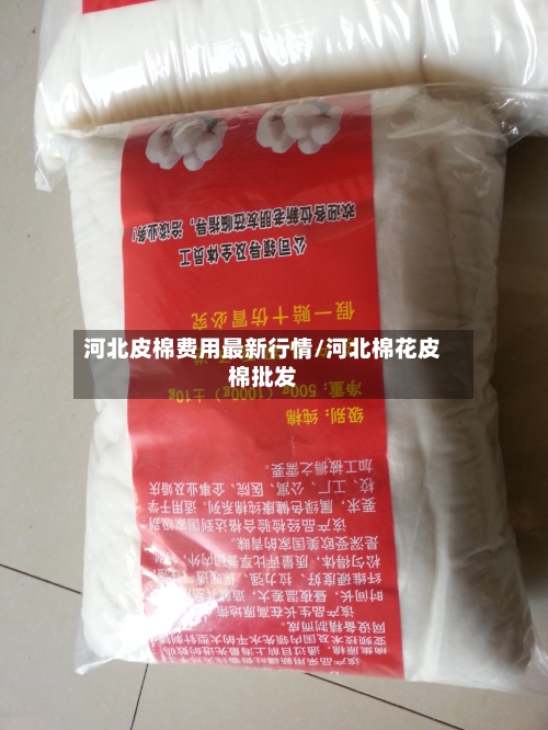 河北皮棉费用最新行情/河北棉花皮棉批发-第2张图片