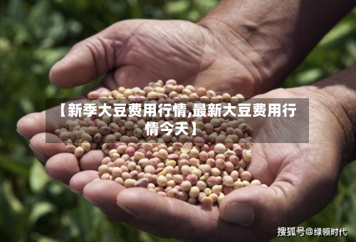 【新季大豆费用行情,最新大豆费用行情今天】-第3张图片